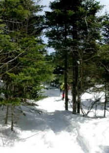 樹林の中コース登山道