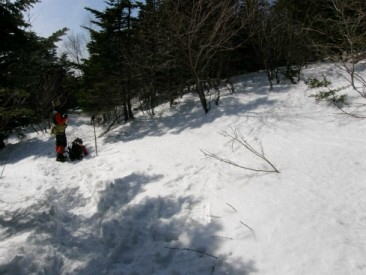 樹林の中コース上部