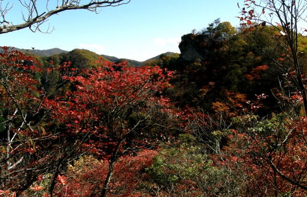 振り返って見る見晴らし峰