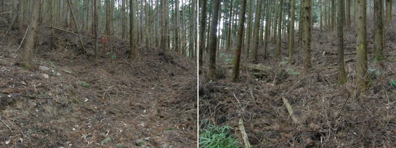 下部植林内の峠道１