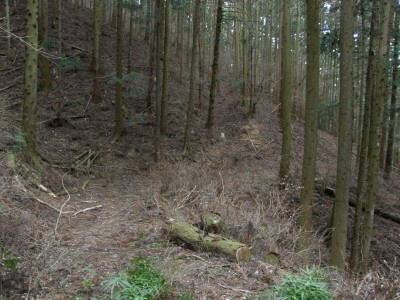 下部植林内の峠道２
