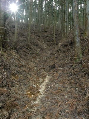下部植林内の峠道３