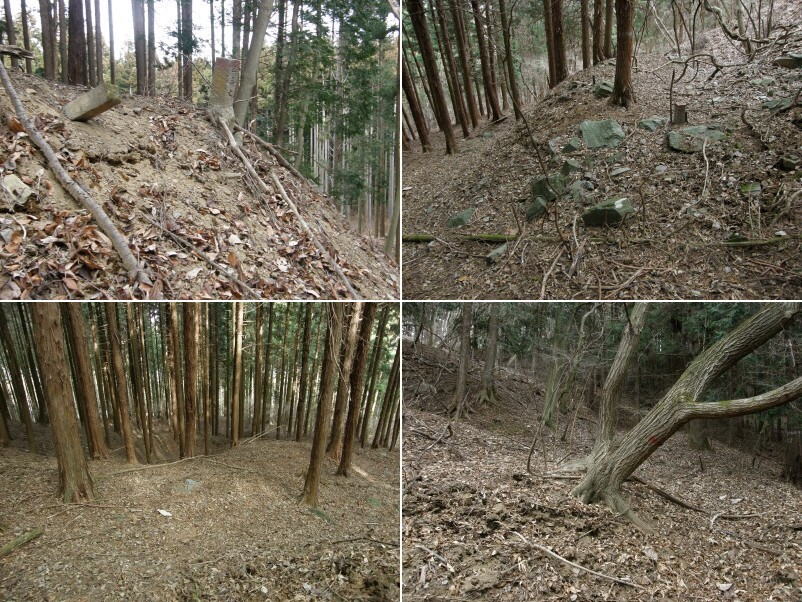 上部植林内の峠道