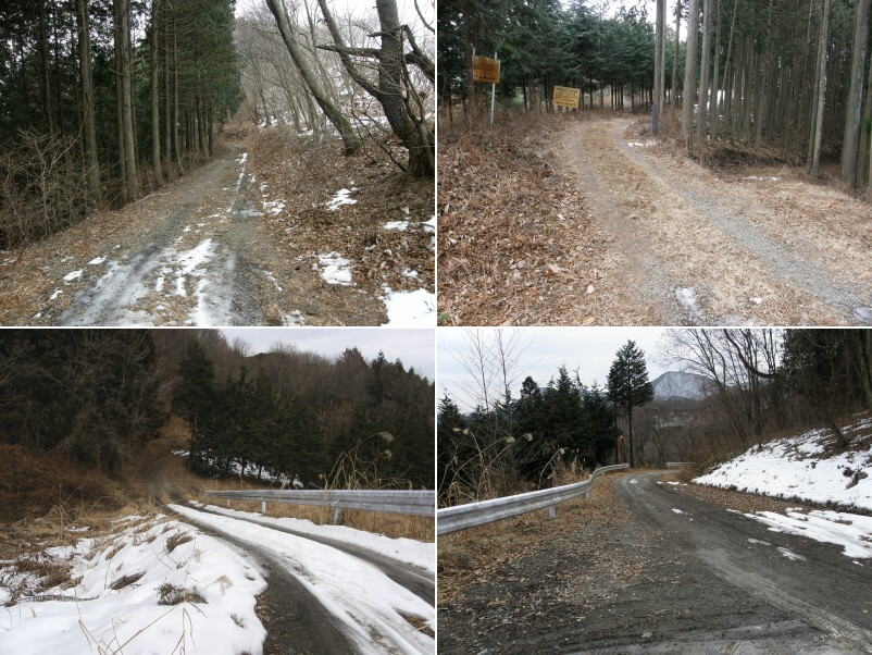 稜線付近の林道