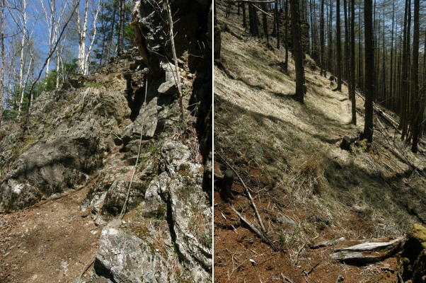 高天原山への登山道