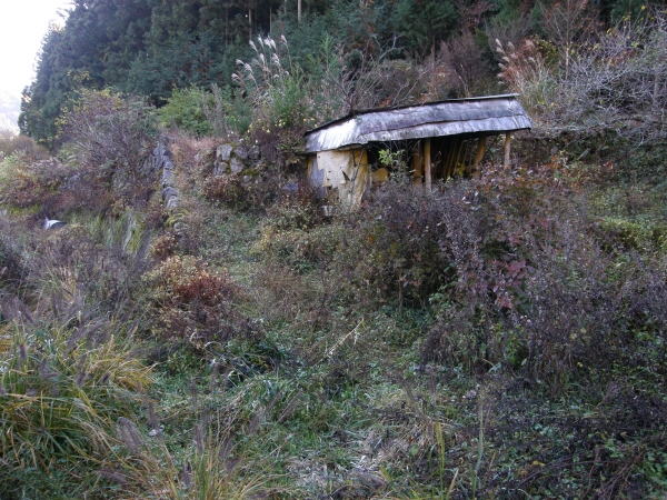 登山口